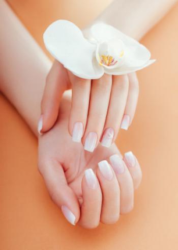 Dịch vụ chăm sóc móng